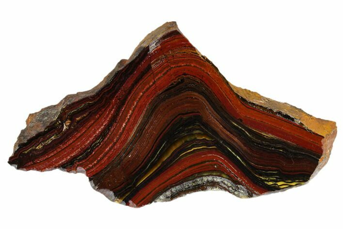 Polished Tiger Iron Stromatolite Slab - Billion Years #185913